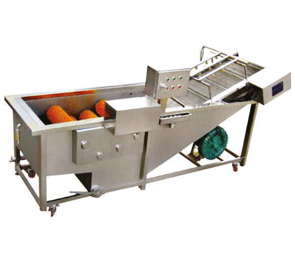 Vegetable Washing Equipment Manufacturer & Suppliers- Bajaj